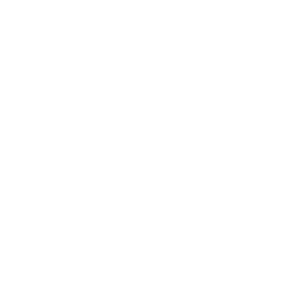 TeroMovigo